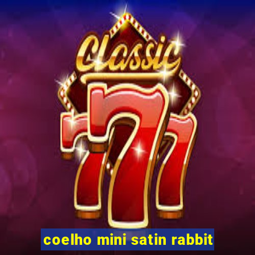 coelho mini satin rabbit